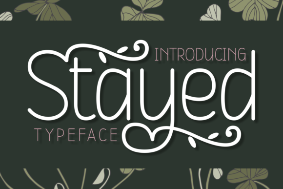 Stayed: The Script Amp Typeface That Elevates Campaign Visuals
