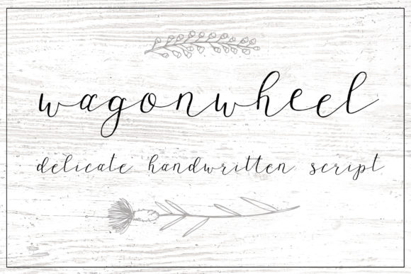Wagonwheel: A Premium Script Font for Summer Campaigns